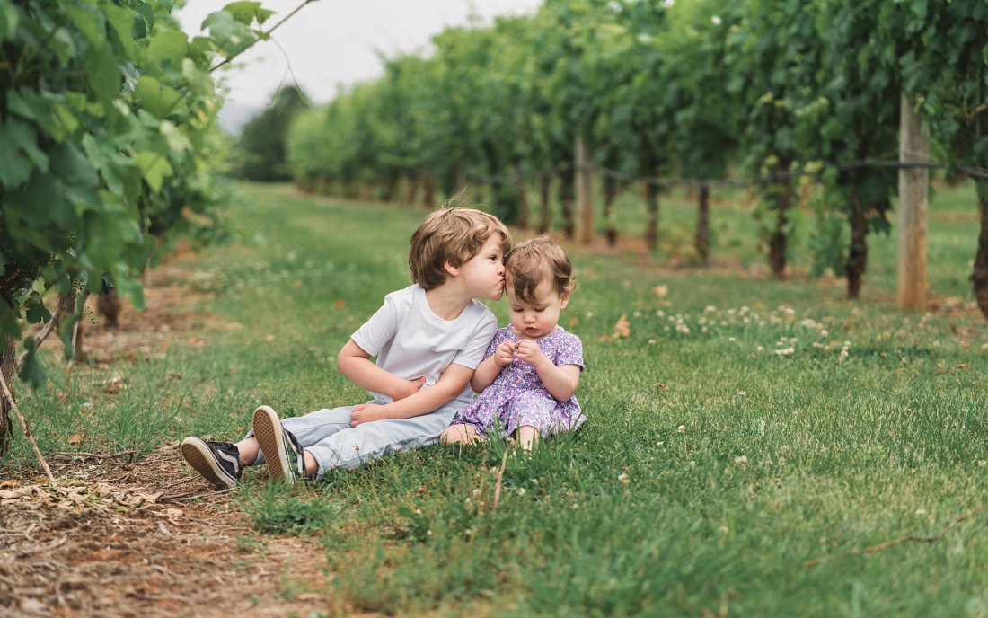 kids in a vineyard | Family Photography | Melissa Sheridan Photography