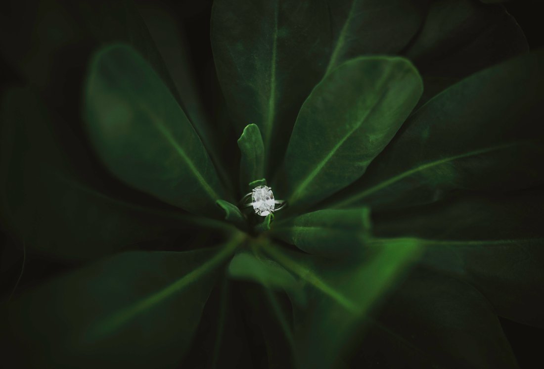 engagement ring balanced in some leaves 