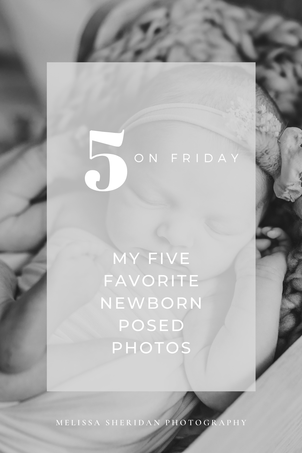 Favorite Posed Newborn Photos | Melissa Sheridan Photography