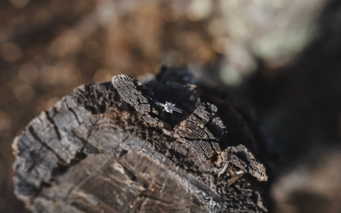 Engagement ring balanced in a tree stump