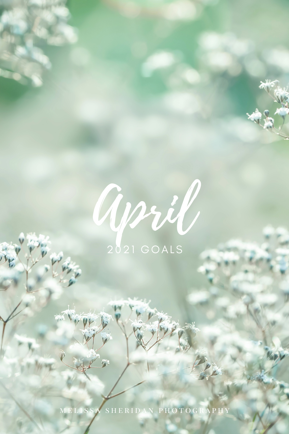April 2021 Goals | Melissa Sheridan Photography