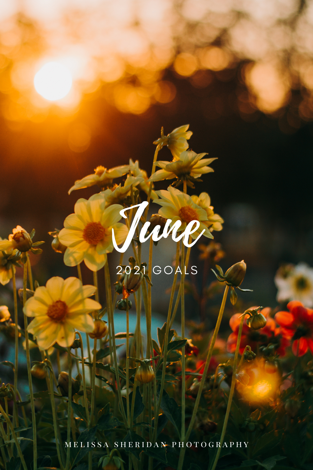 June 2021 Goals