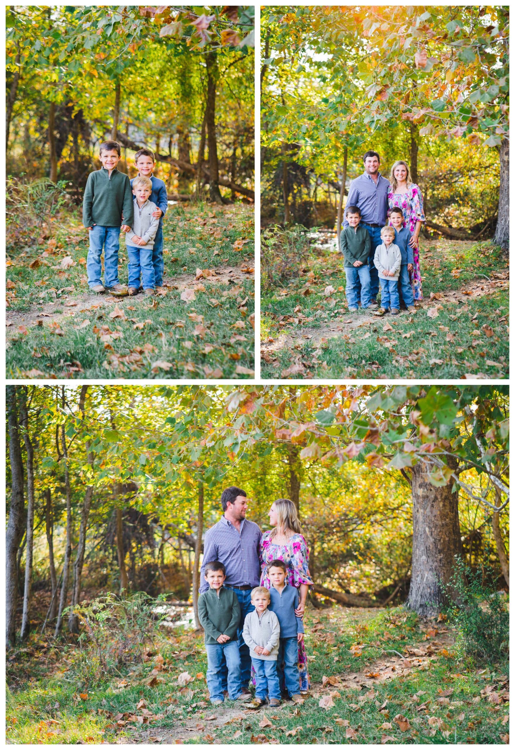 Fall family photos with pretty trees | Melissa Sheridan Photography