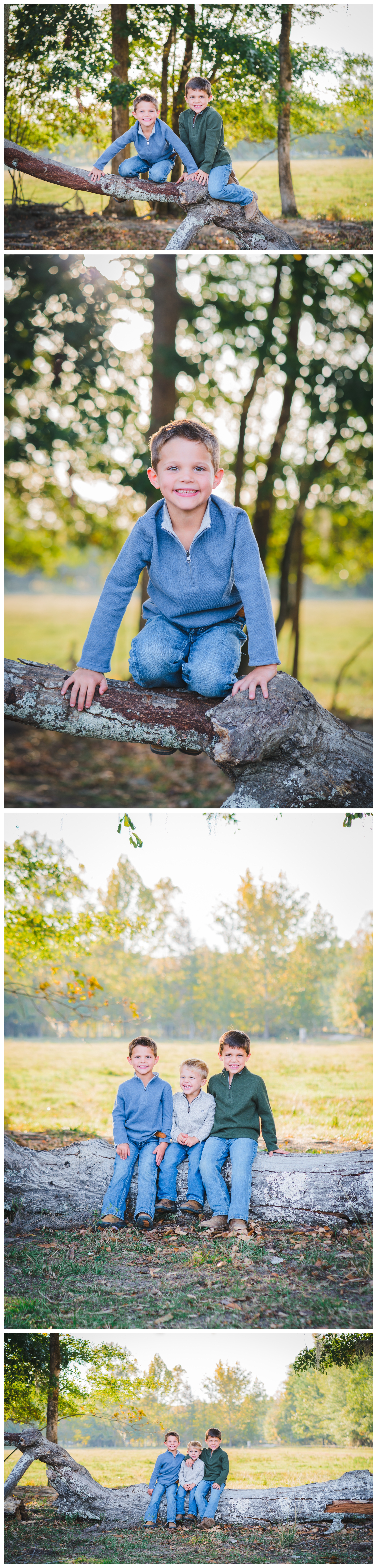 Boys playing outside on a fallen tree | Melissa Sheridan Photography