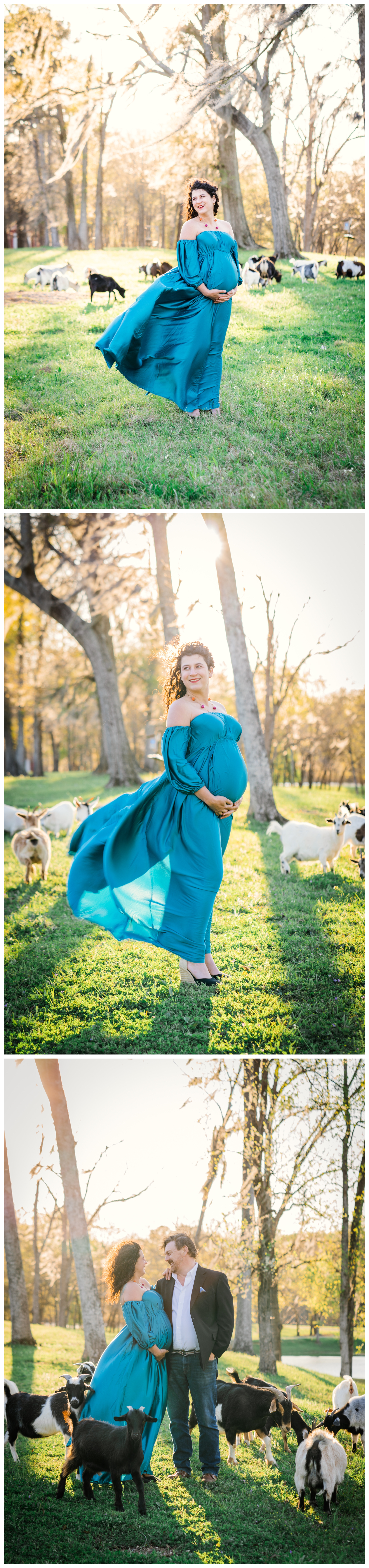 Expectant mother in field with goats | Melissa Sheridan Photography | Northern Virginia Maternity Session