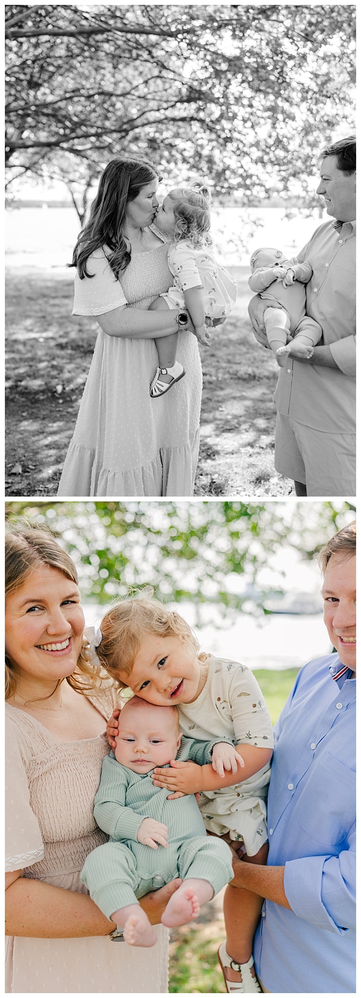 family of four in a park | Melissa Sheridan Photography