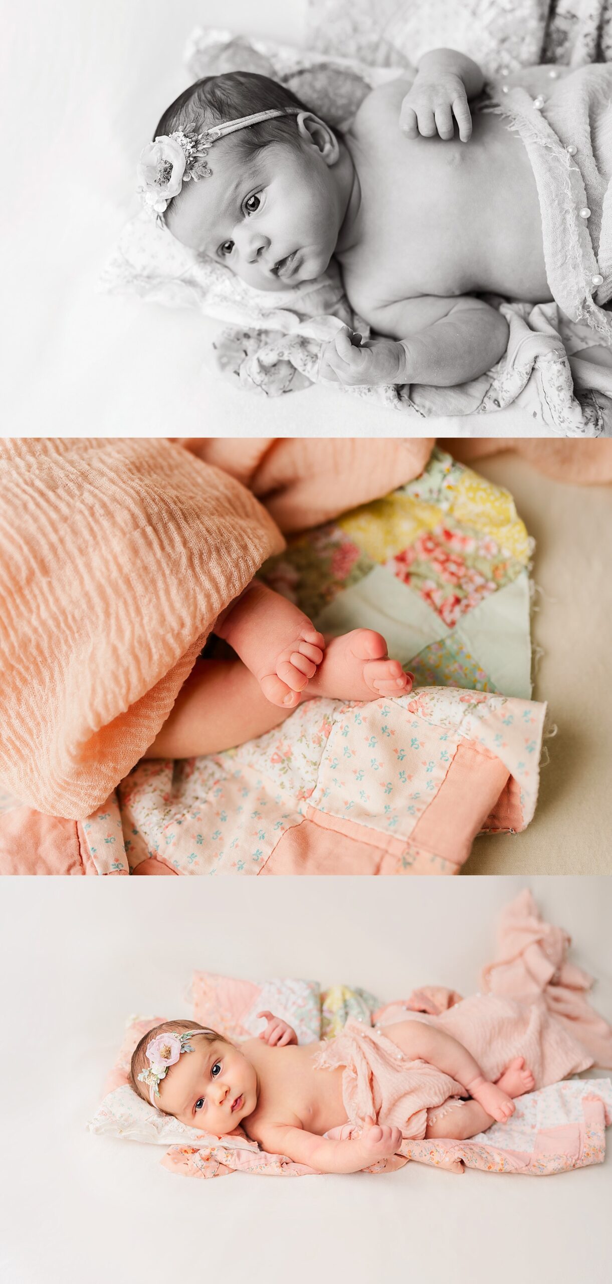 Alexandria Virginia Newborn Photographer | Melissa Sheridan Photography