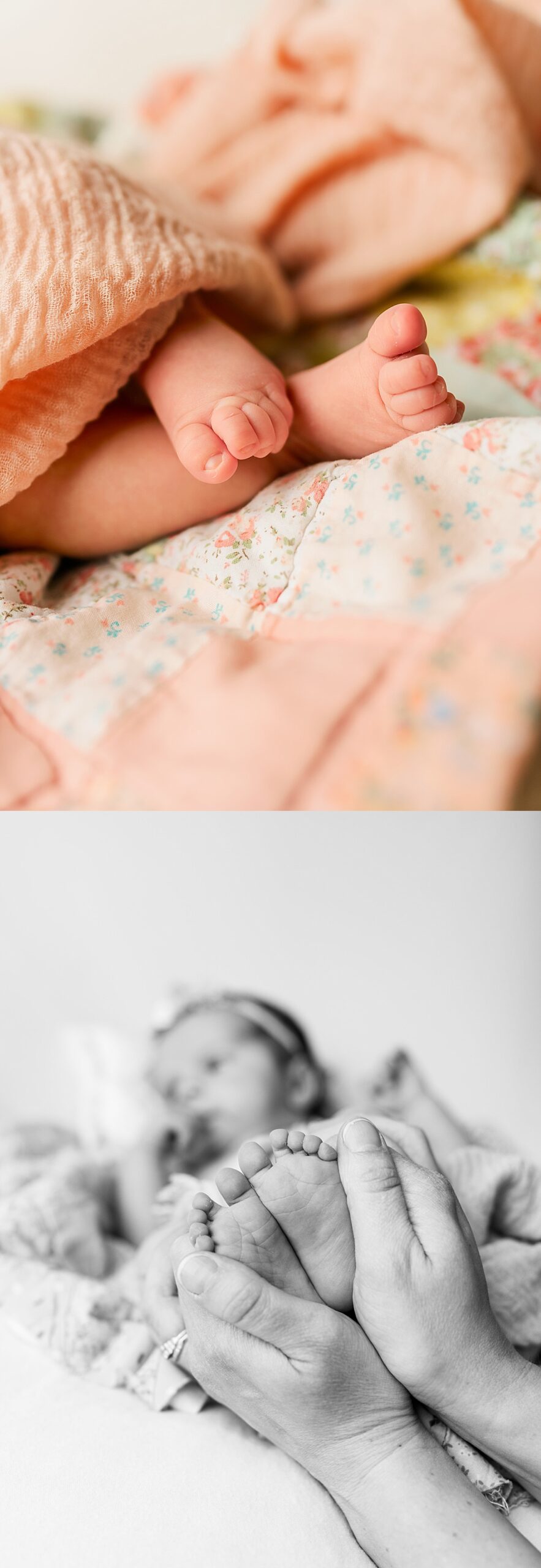 close up of baby girl's toes | Melissa Sheridan Photography