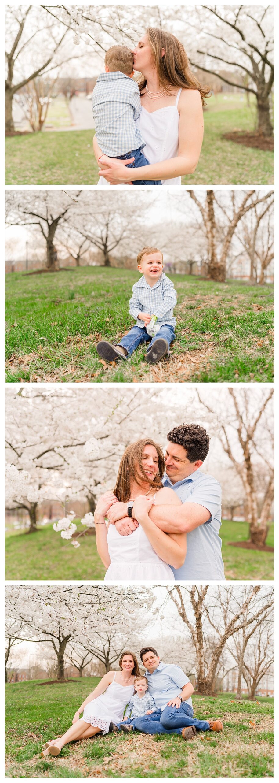 family of three on hill with blooming tree | Melissa Sheridan Photography