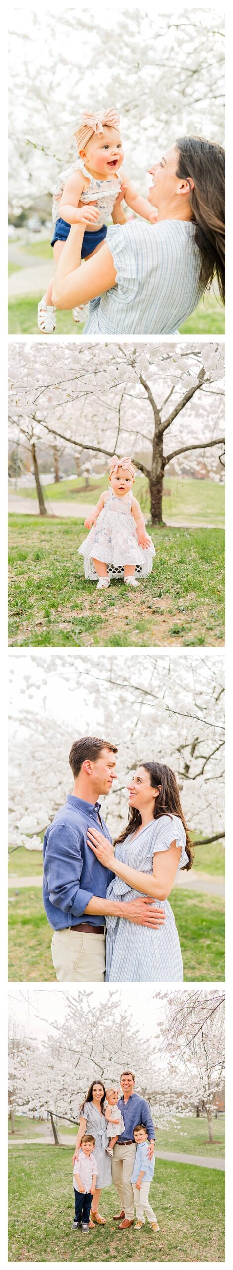 Alexandria Spring Cherry Blossom Mini Sessions | Melissa Sheridan Photography