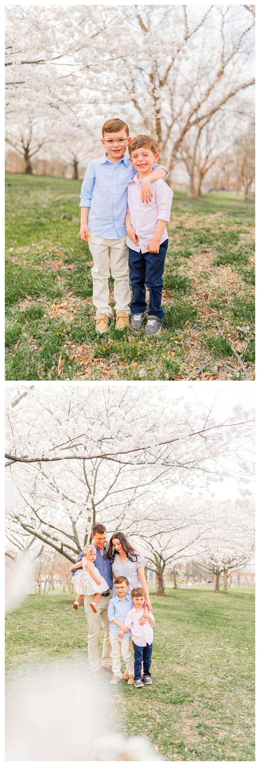 family of five in front of blooming trees in Virginia | Melissa Sheridan Photography