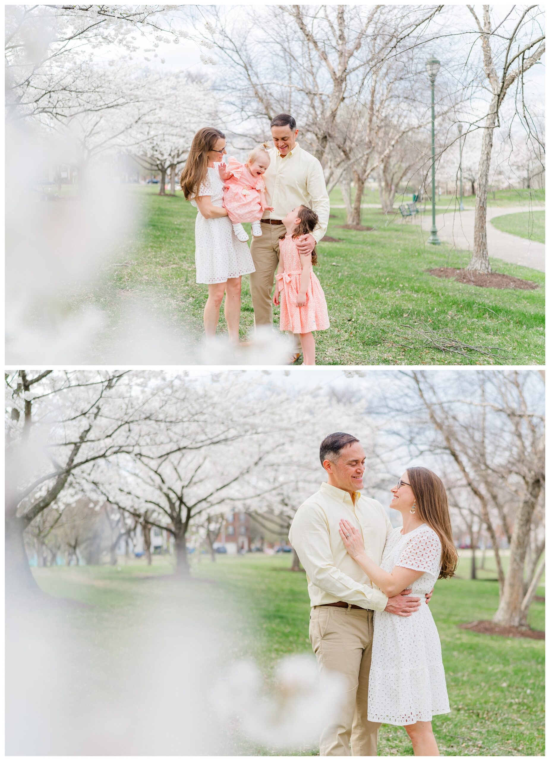 Northern Virginia Cherry Blossom Photography | Melissa Sheridan Photography
