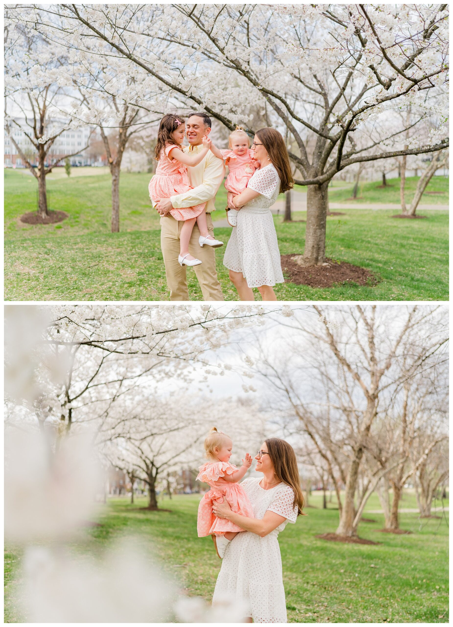 Alexandria Cherry Blossom Spring Photos | Melissa Sheridan Photography