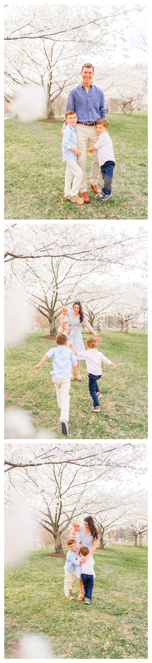 family Cherry Blossom Photo Session, Alexandria, Virginia | Melissa Sheridan Photography