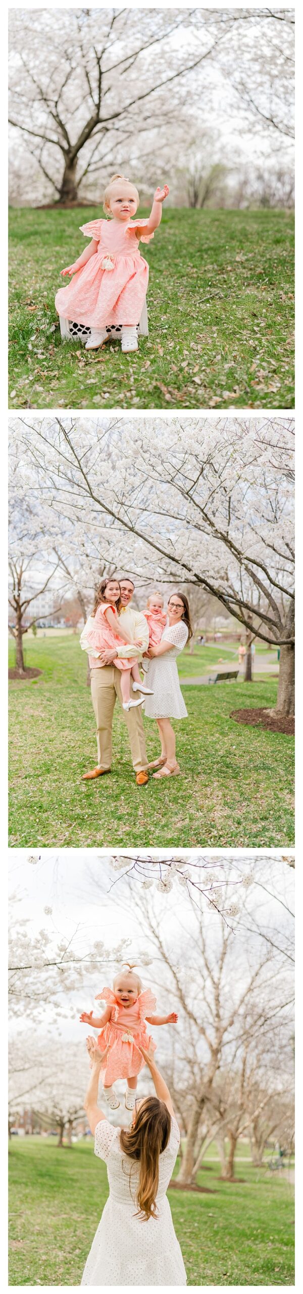 Ben Brenman Park Family Photos with Cherry Blossoms | Melissa Sheridan Photography