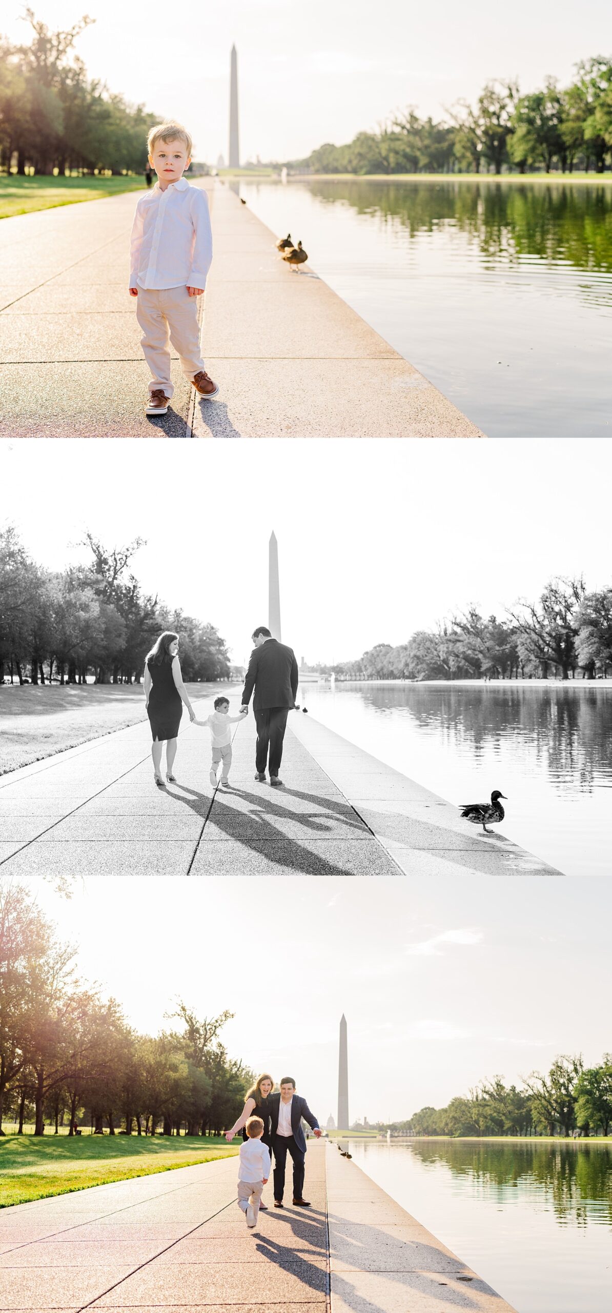 Lincoln Memorial and Reflecting Pool Family Photos at Sunrise, by Melissa Sheridan Photography