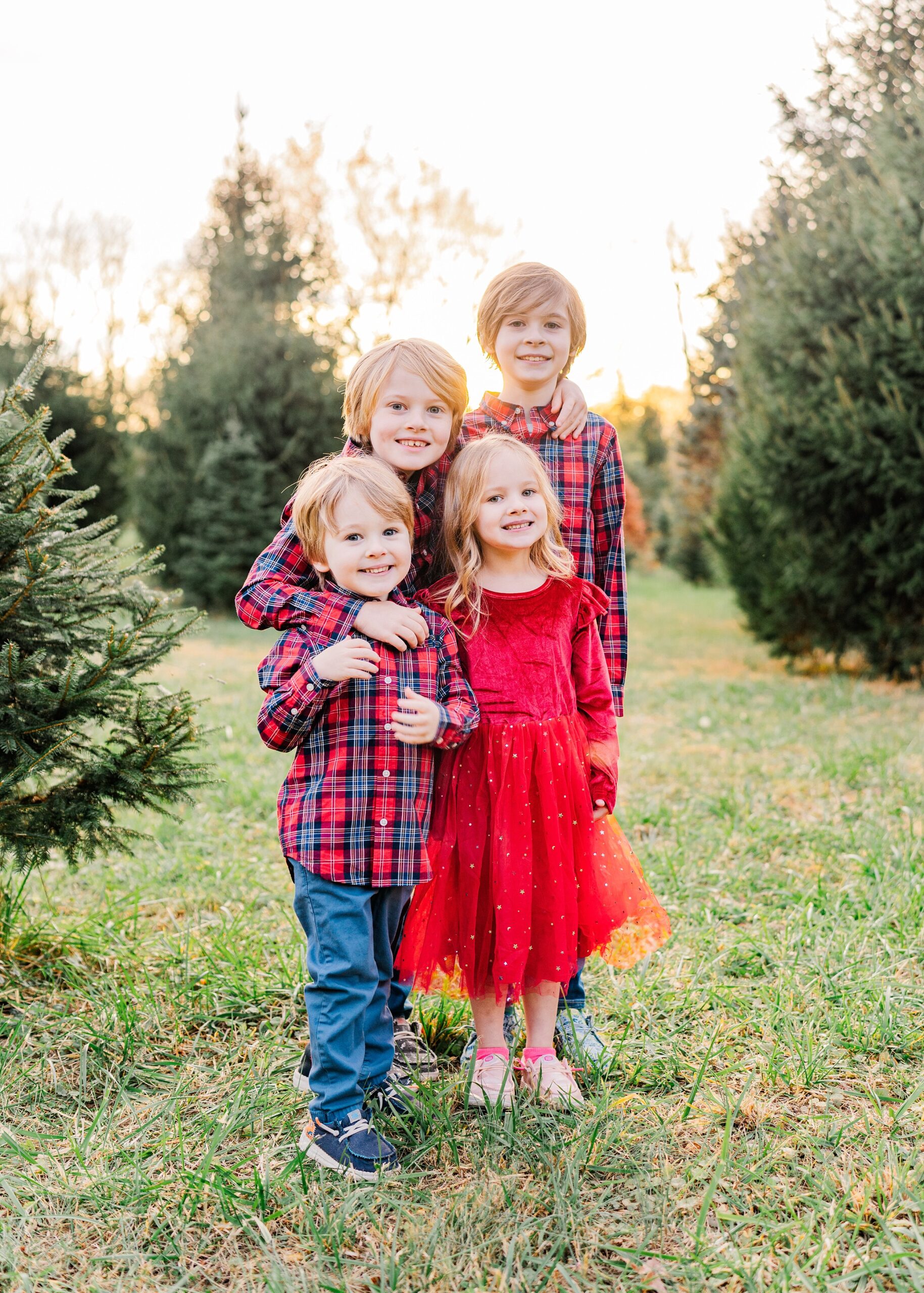 Kids in a tree farm at sunset, photo by Melissa Sheridan Photography, Northern Virginia Family Photographer