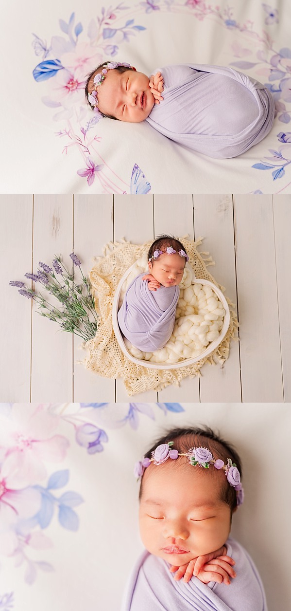 Lavender newborn baby girl photos | Melissa Sheridan Photography 